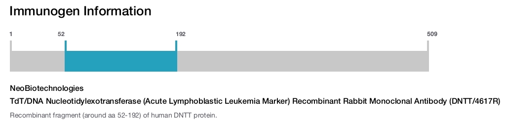 TdT/DNA Nucleotidylexotransferase (Acute Lymphoblastic Leukemia Marker) Recombinant Rabbit Monoclonal Antibody (DNTT/4617R)