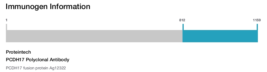 PCDH17 Polyclonal Antibody