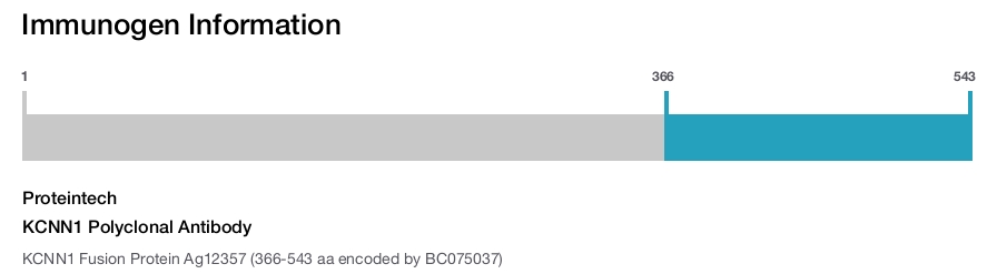 KCNN1 Polyclonal Antibody