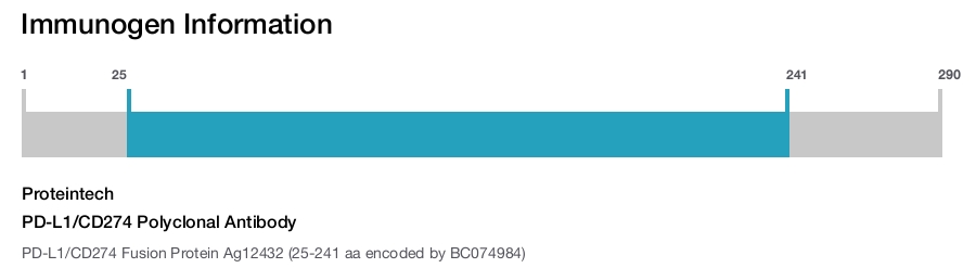 PD-L1/CD274 Polyclonal Antibody