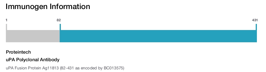 uPA Polyclonal Antibody