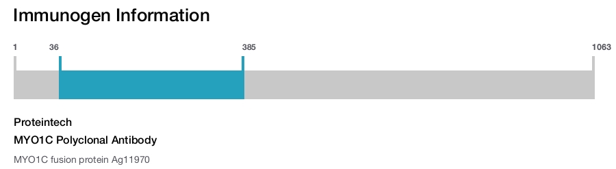 MYO1C Polyclonal Antibody