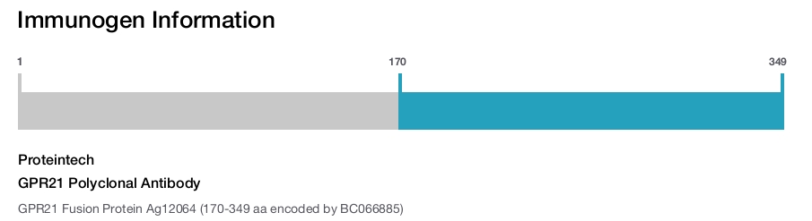 GPR21 Polyclonal Antibody