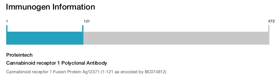 Cannabinoid receptor 1 Polyclonal Antibody