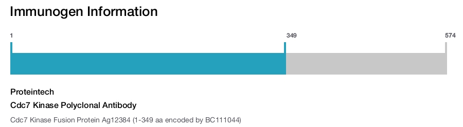 Cdc7 Kinase Polyclonal Antibody