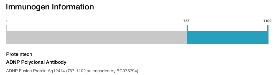 ADNP Polyclonal Antibody