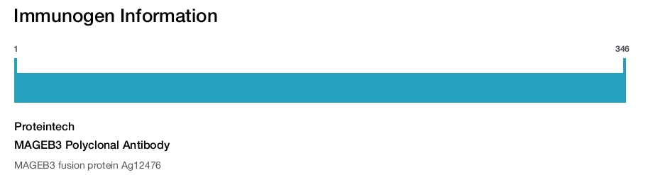 MAGEB3 Polyclonal Antibody