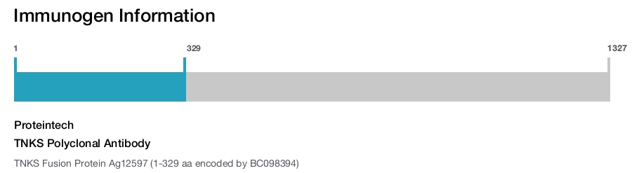 TNKS Polyclonal Antibody