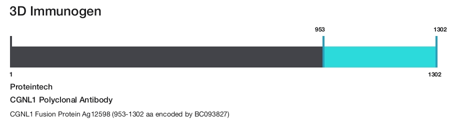 CGNL1 Polyclonal Antibody