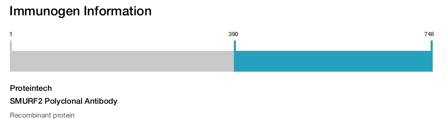 SMURF2 Polyclonal Antibody