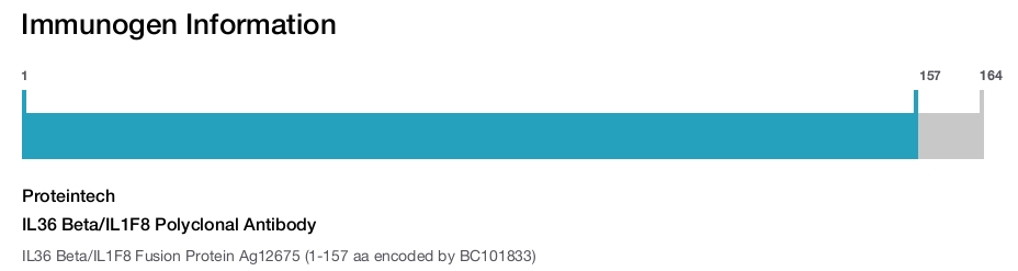 IL36 Beta/IL1F8 Polyclonal Antibody