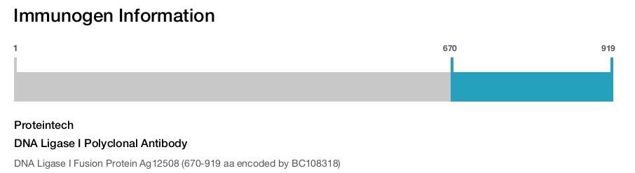 DNA Ligase I Polyclonal Antibody