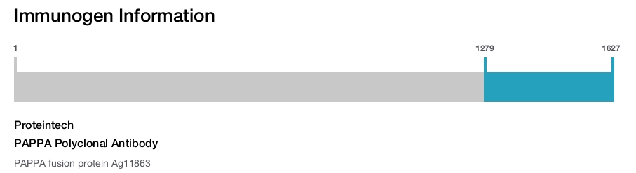 PAPPA Polyclonal Antibody