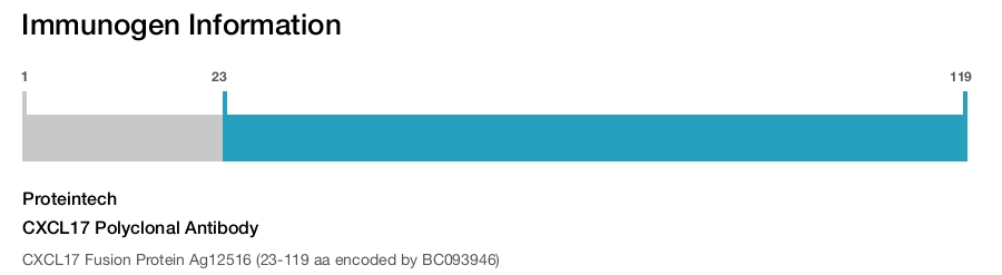 CXCL17 Polyclonal Antibody