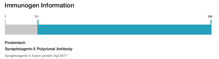 Synaptotagmin-5 Polyclonal Antibody