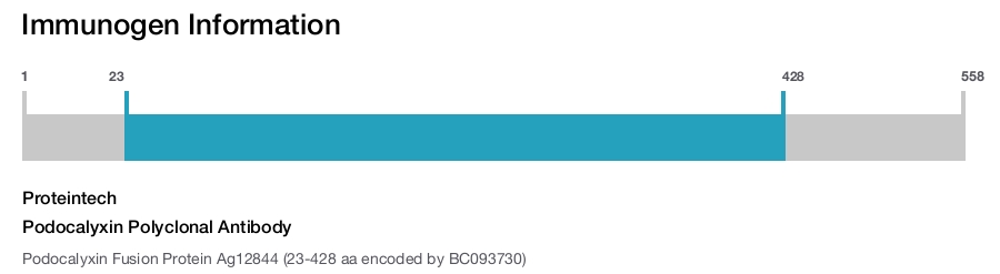 Podocalyxin Polyclonal Antibody