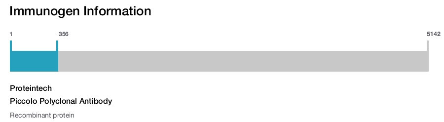 Piccolo Polyclonal Antibody