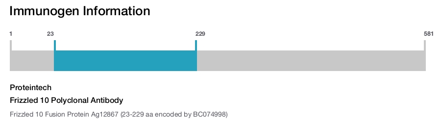 Frizzled 10 Polyclonal Antibody