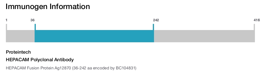 HEPACAM Polyclonal Antibody