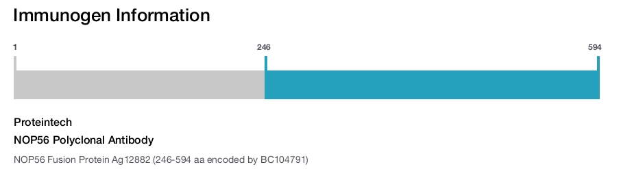 NOP56 Polyclonal Antibody