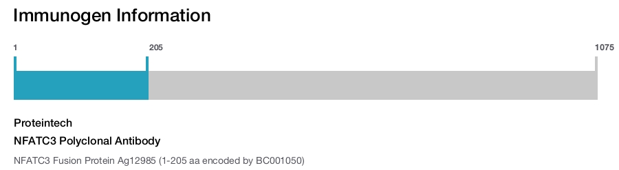 NFATC3 Polyclonal Antibody