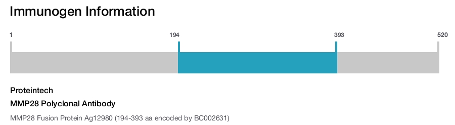MMP28 Polyclonal Antibody
