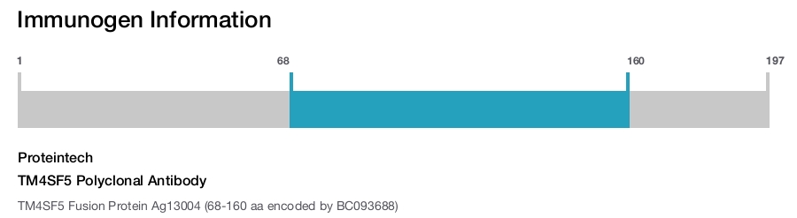 TM4SF5 Polyclonal Antibody