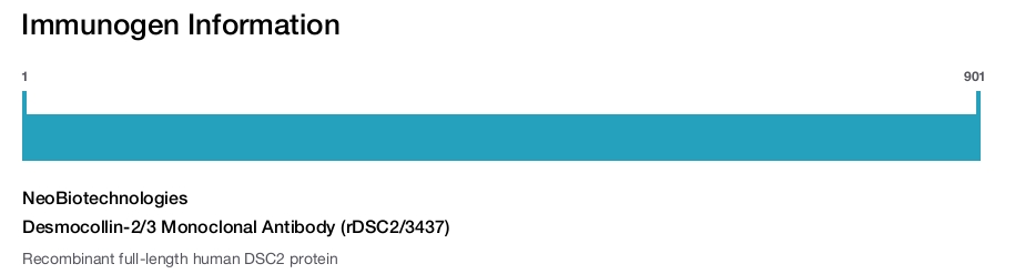Desmocollin-2/3 Monoclonal Antibody (rDSC2/3437)