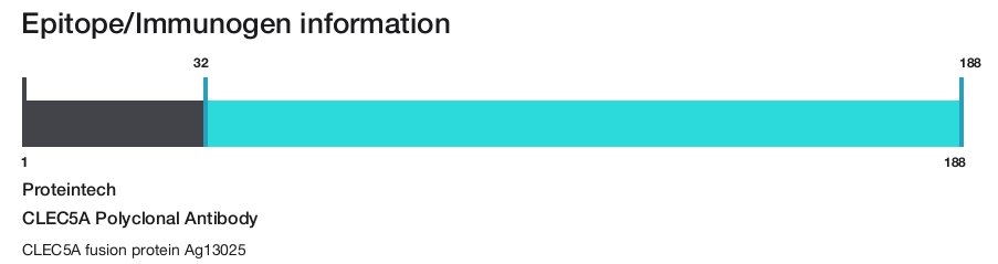 CLEC5A Polyclonal Antibody