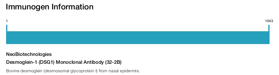 Desmoglein-1 (DSG1) Monoclonal Antibody (32-2B)