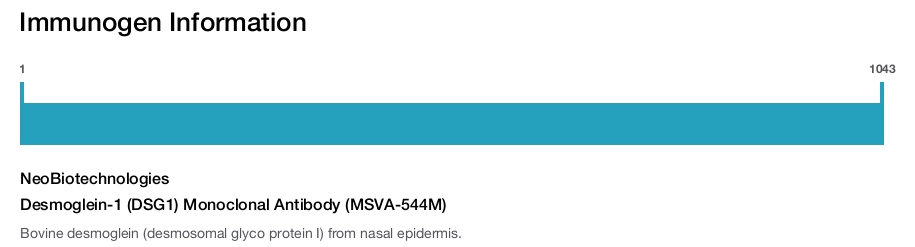 Desmoglein-1 (DSG1) Monoclonal Antibody (MSVA-544M)