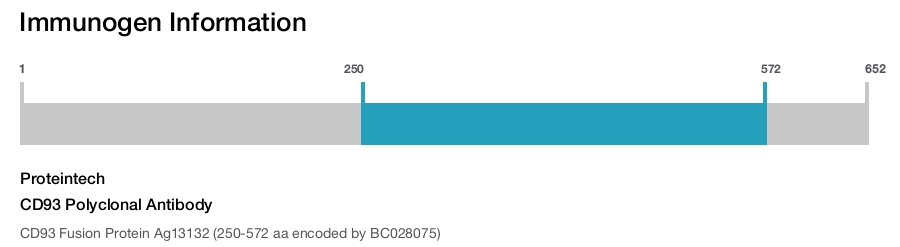 CD93 Polyclonal Antibody