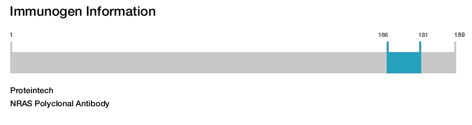 NRAS Polyclonal Antibody