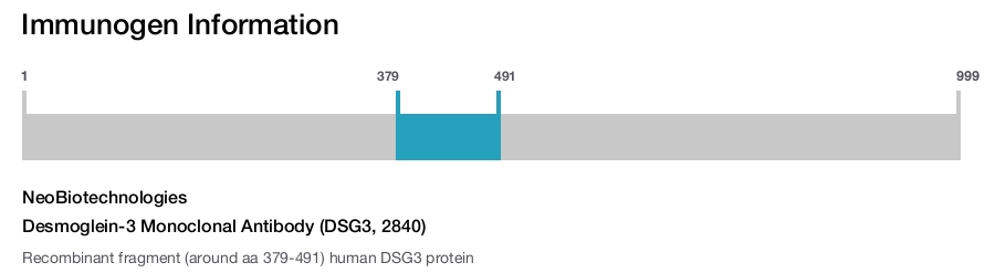Desmoglein-3 Monoclonal Antibody (DSG3, 2840)