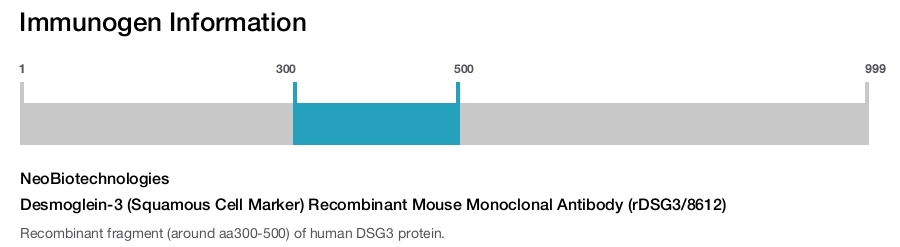 Desmoglein-3 (Squamous Cell Marker) Recombinant Mouse Monoclonal Antibody (rDSG3/8612)