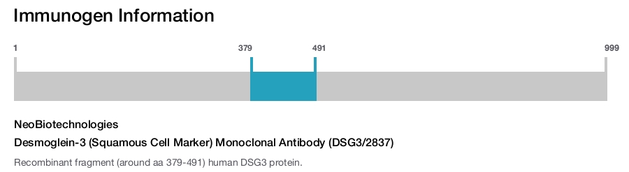 Desmoglein-3 (Squamous Cell Marker) Monoclonal Antibody (DSG3/2837)