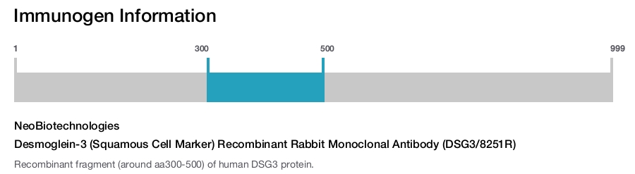 Desmoglein-3 (Squamous Cell Marker) Recombinant Rabbit Monoclonal Antibody (DSG3/8251R)