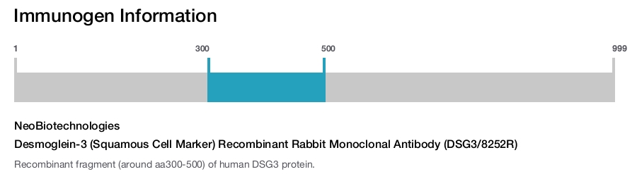 Desmoglein-3 (Squamous Cell Marker) Recombinant Rabbit Monoclonal Antibody (DSG3/8252R)