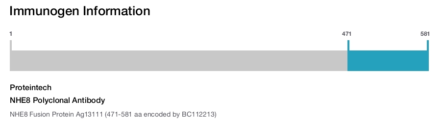 NHE8 Polyclonal Antibody