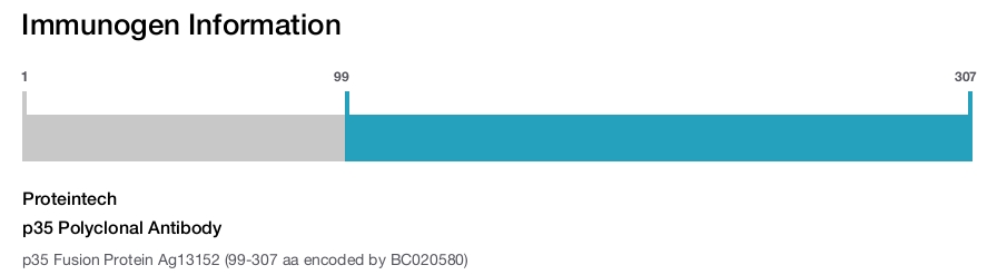 p35 Polyclonal Antibody