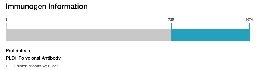 PLD1 Polyclonal Antibody