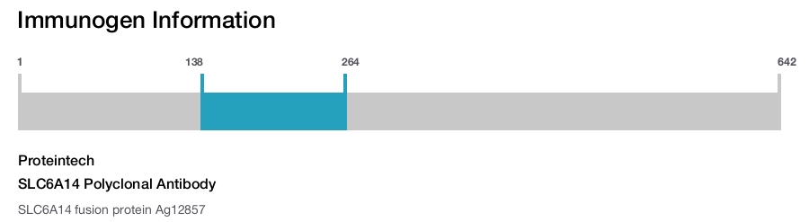 SLC6A14 Polyclonal Antibody