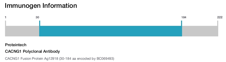 CACNG1 Polyclonal Antibody