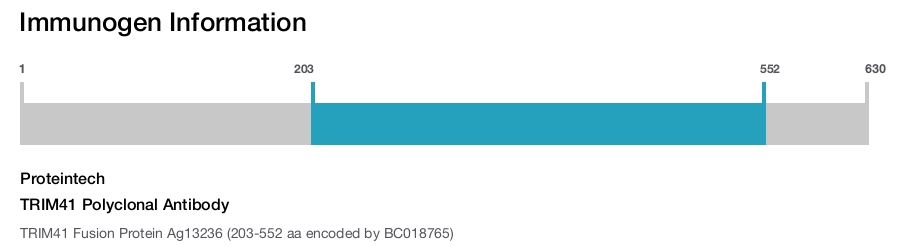 TRIM41 Polyclonal Antibody