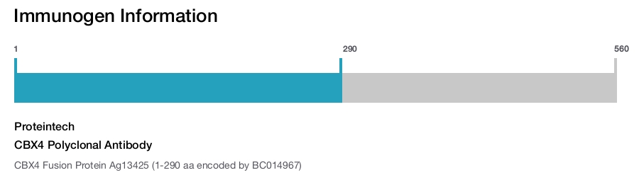 CBX4 Polyclonal Antibody