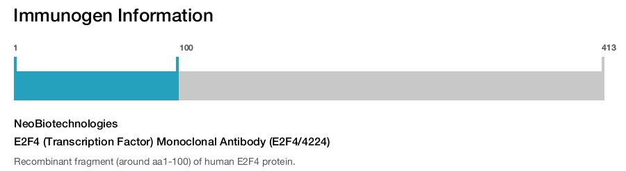 E2F4 (Transcription Factor) Monoclonal Antibody (E2F4/4224)