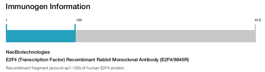 E2F4 (Transcription Factor) Recombinant Rabbit Monoclonal Antibody (E2F4/8645R)