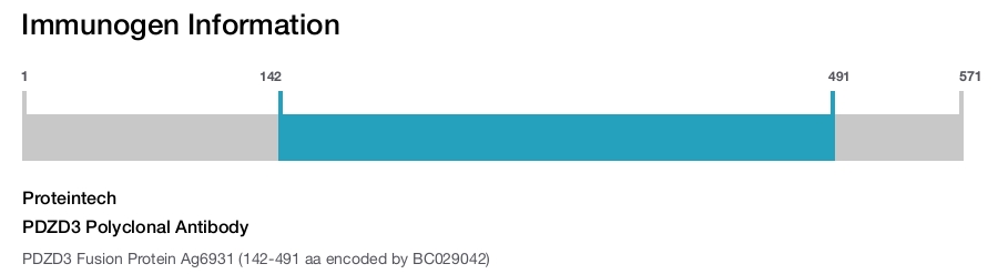 PDZD3 Polyclonal Antibody
