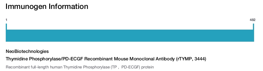 Thymidine Phosphorylase/PD-ECGF Recombinant Mouse Monoclonal Antibody (rTYMP, 3444)