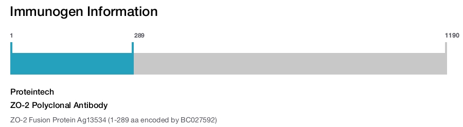 ZO-2 Polyclonal Antibody